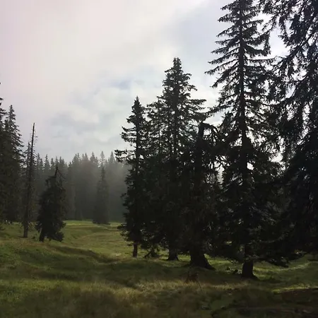 Almidylle Alpesi faház *