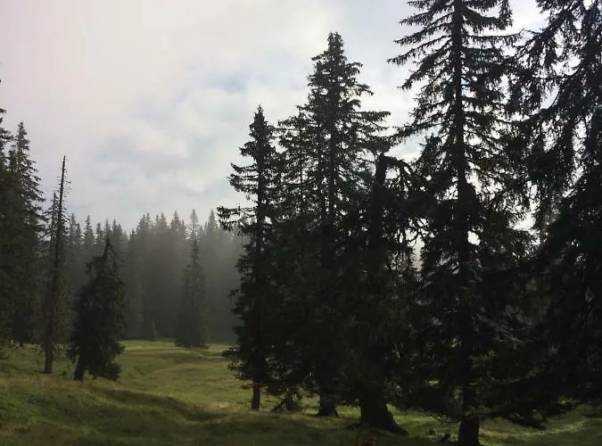 Almidylle Horská chata *